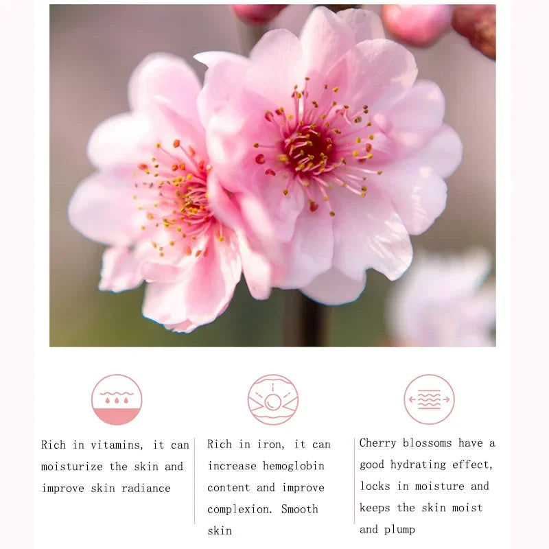 Moisturizing Hydrate Cherry Blossom Body Lotion - Cindorium