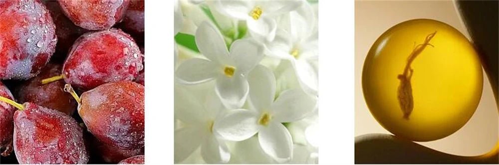 Club De Nuit Eau De Parfum – Luxury Perfume for Women (100ml) - Cindorium